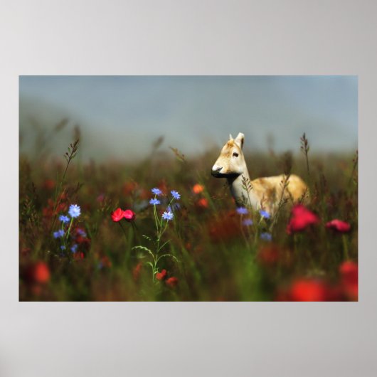 Ree in een weide print (Voorkant)