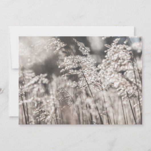 Reed Natuur-fotokaart (Voorkant)