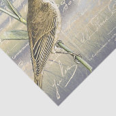 Reed Warbler Bird Marsh Frans Script Decoupage Tissuepapier (Detail)
