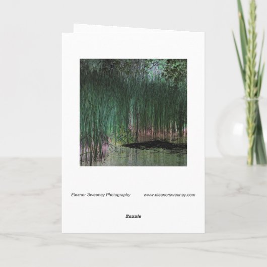 "Reeds" — Digitaal getransformeerd Marsh & Pond Ed Kaart (Achterkant)