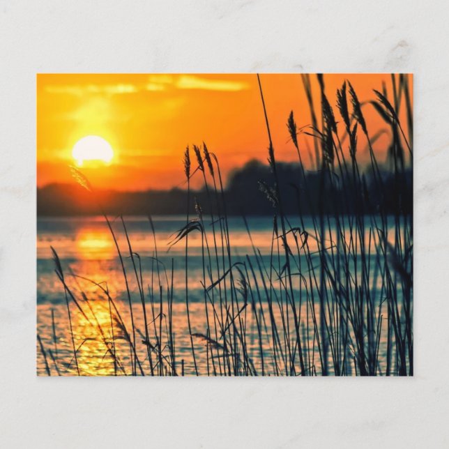 Reeds in de sunset scrapbook background (Voorkant)