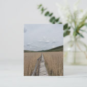 Reeds in een Marsh in Roemenië Briefkaart (Staand voorkant)