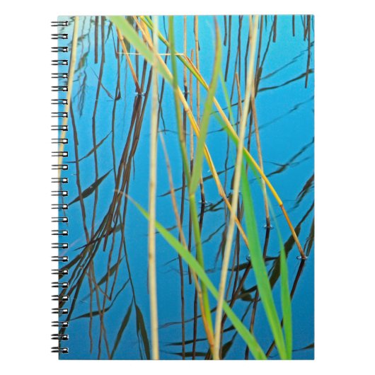 Reeds in een meer notitieboek (Voorkant)