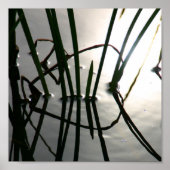 Reeds Reflectie Zen Fotografie Poster (Voorkant)
