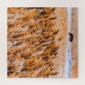 Reeds van Antelope Island, Utah - 20x20 - 676 pcs. Legpuzzel (Horizontaal)