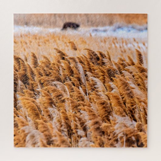 Reeds van Antelope Island, Utah - 20x20 - 676 pcs. Legpuzzel (Verticaal)