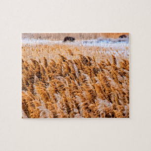 Reeds van Antelope Island, Utah - 8x10 - 110 pcs. Legpuzzel