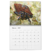 Reef Critters Wall Calendrier par J.W. Patrie. (Feb 2027)