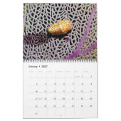 Reef Critters Wall Calendrier par J.W. Patrie. (Jan 2027)