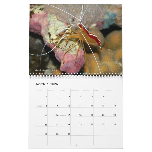 Reef Critters Wall Calendrier par J.W. Patrie. (Mar 2026)