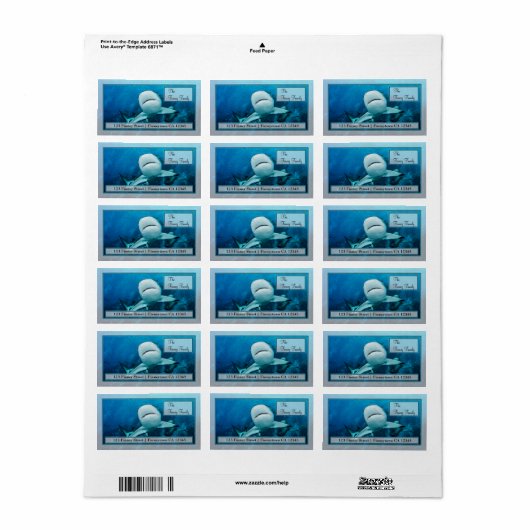 Reef Shark op het Great Barrier Reef Address Label (Full Sheet)