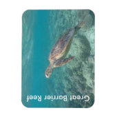 reefschildpad magneet (Verticaal)