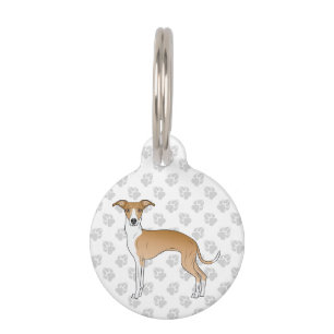 Reekleurige en witte Italiaanse windhond, cute car Huisdierpenning