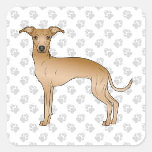 Reekleurige Italiaanse Windhond Mopshond met Pootj Vierkante Sticker