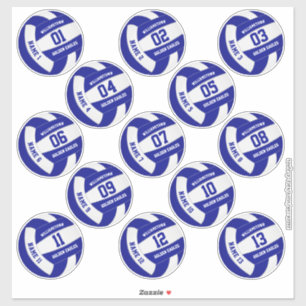 Reeks 13 namen van de douanespeler blue volleyball sticker