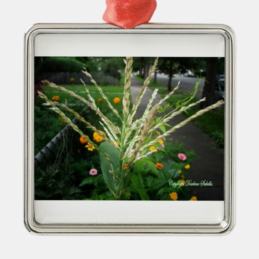 Reeks kerstFlora Metalen Ornament (Voorkant)