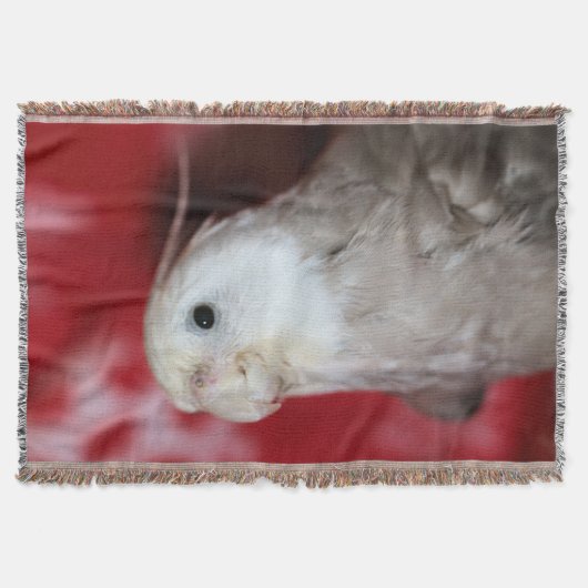 Reeples Deken (Voorkant)