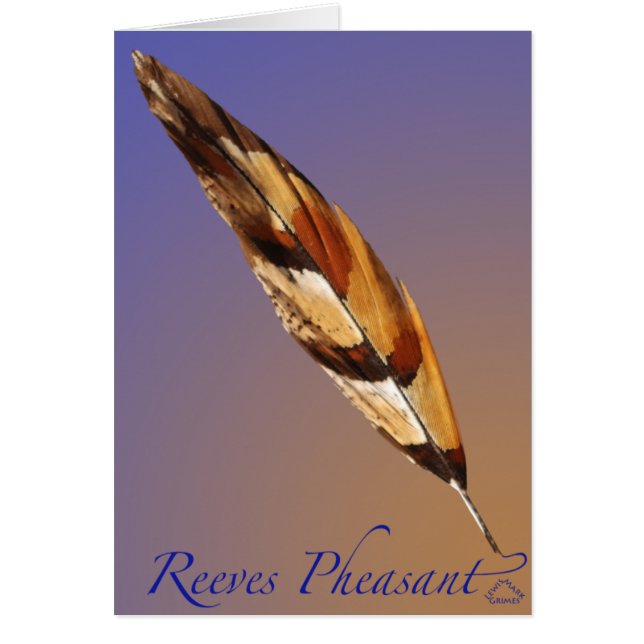 Reeves Pheasant Tail (Voorkant)