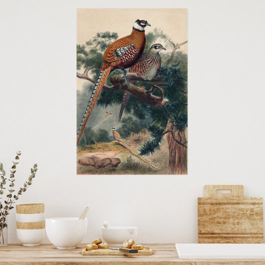 Reeves Pheasant van Joseph Wolf Poster (Keuken)