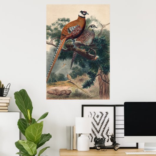 Reeves Pheasant van Joseph Wolf Poster (Thuiskantoor)
