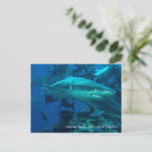 Ref. haai Great Barrier Reef Coral Zee Briefkaart (Staand voorkant)