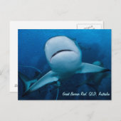 Ref. haai Great Barrier Reef Coral Zee Gift Briefkaart (Voorkant / Achterkant)