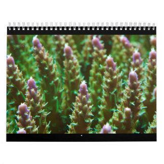 Ref.-serverkalender 2012 kalender