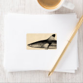 Ref Shark Illustratie Black Tipped Etiket (Insitu)