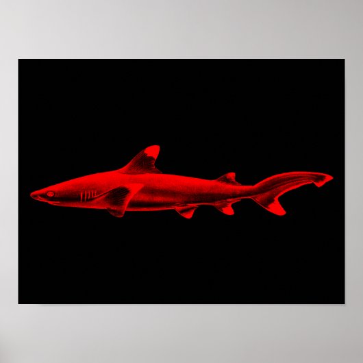 Ref Shark Illustratie Rode Zwarte Haaien Poster (Voorkant)