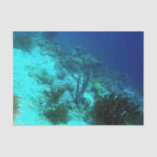 Ref. Tissuepapier (Voorkant)