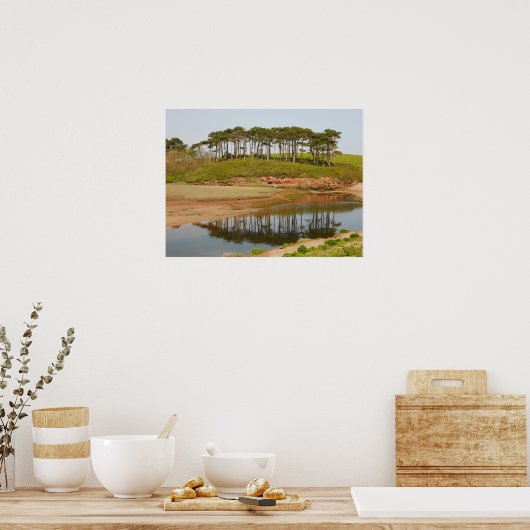 Reflected Pine Trees Poster (Keuken)