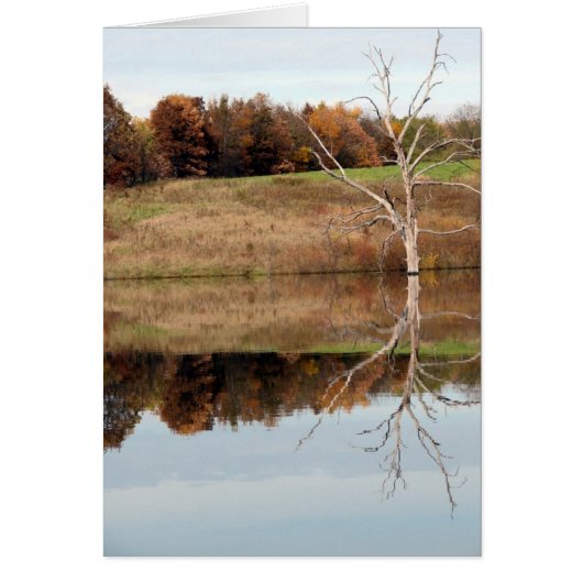 Reflecteren (Voorkant)