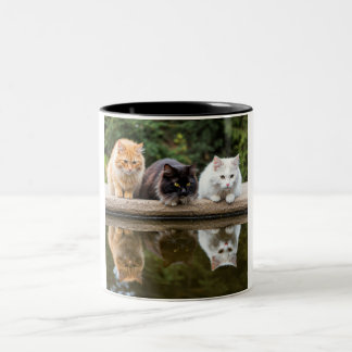 Reflecterende Feline Friends: een twee-tone kerami Tweekleurige Koffiemok