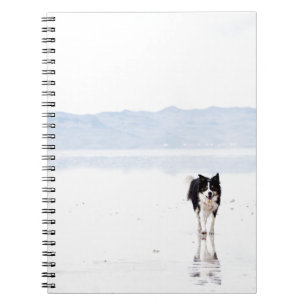 Reflecterende grenscollie notitieboek