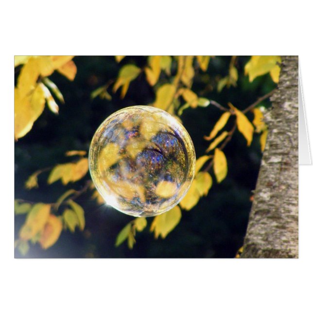 Reflecterende herfstleien (Voorkant Horizontaal)