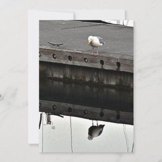 reflecterende meeuw kaart