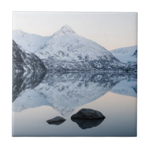 Reflecterende Portage Lake Tegeltje