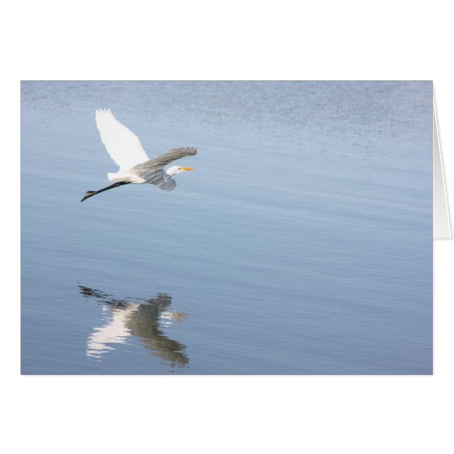 reflectie (Voorkant Horizontaal)