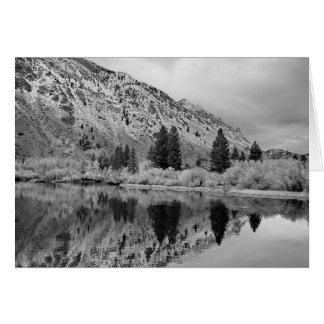 reflectie