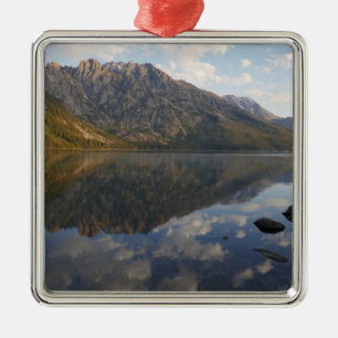 Reflectie bij Jenny Lake II Metalen Ornament