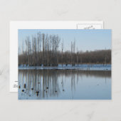 reflectie briefkaart (Voorkant / Achterkant)