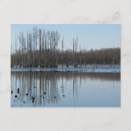 reflectie briefkaart