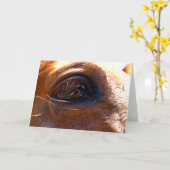Reflectie in het oog van paarden kaart (Gele Bloem)