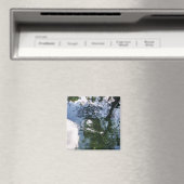Reflectie in Sturgeon Pond Magnet Magneet (Insitu (Vaatwasser))