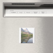 reflectie magneet (Insitu (Vaatwasser))