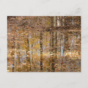 Reflectie op stille kreek in Greenbelt Park Briefkaart