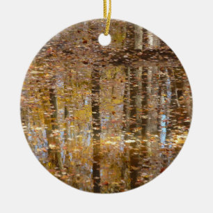 Reflectie op stille kreek in Greenbelt Park Keramisch Ornament
