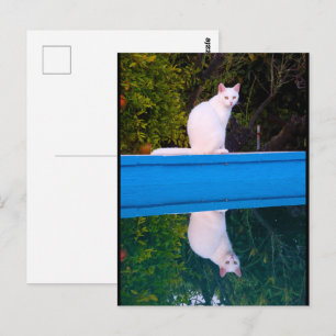 Reflectie van een wit kattenportret briefkaart
