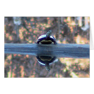 Reflectiekaart voor schildpad