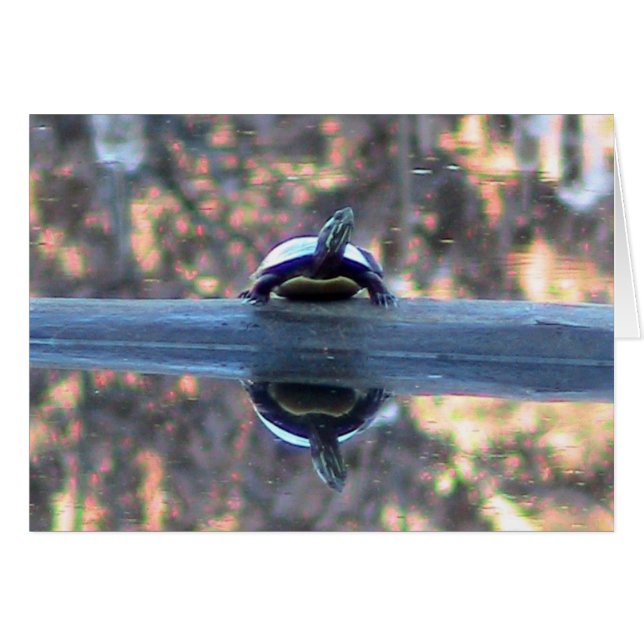 Reflectiekaart voor schildpad (Voorkant Horizontaal)